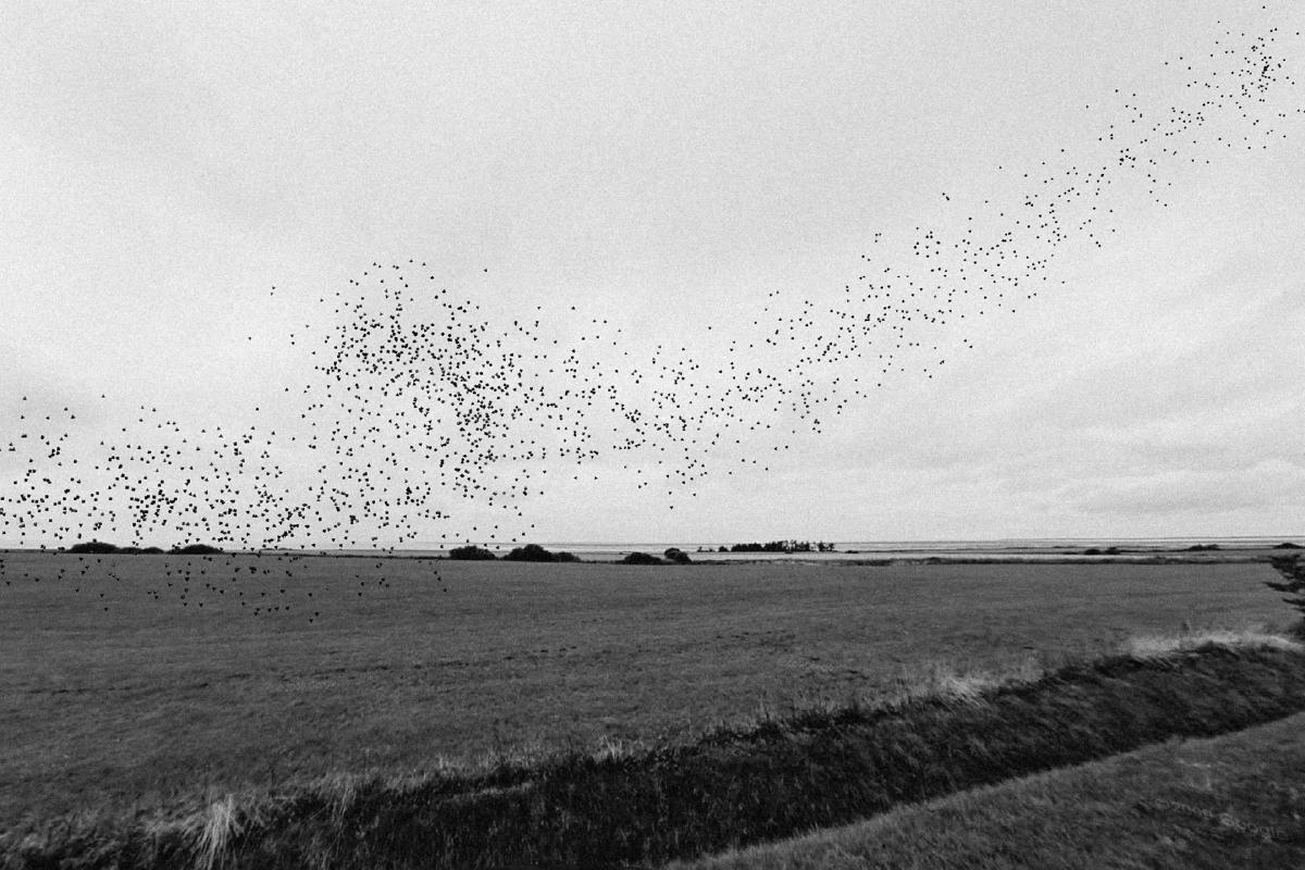 Header example Header example